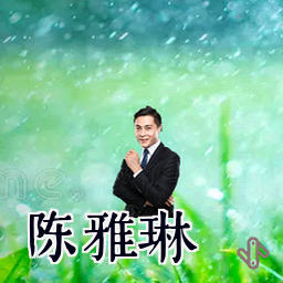 陈雅琳